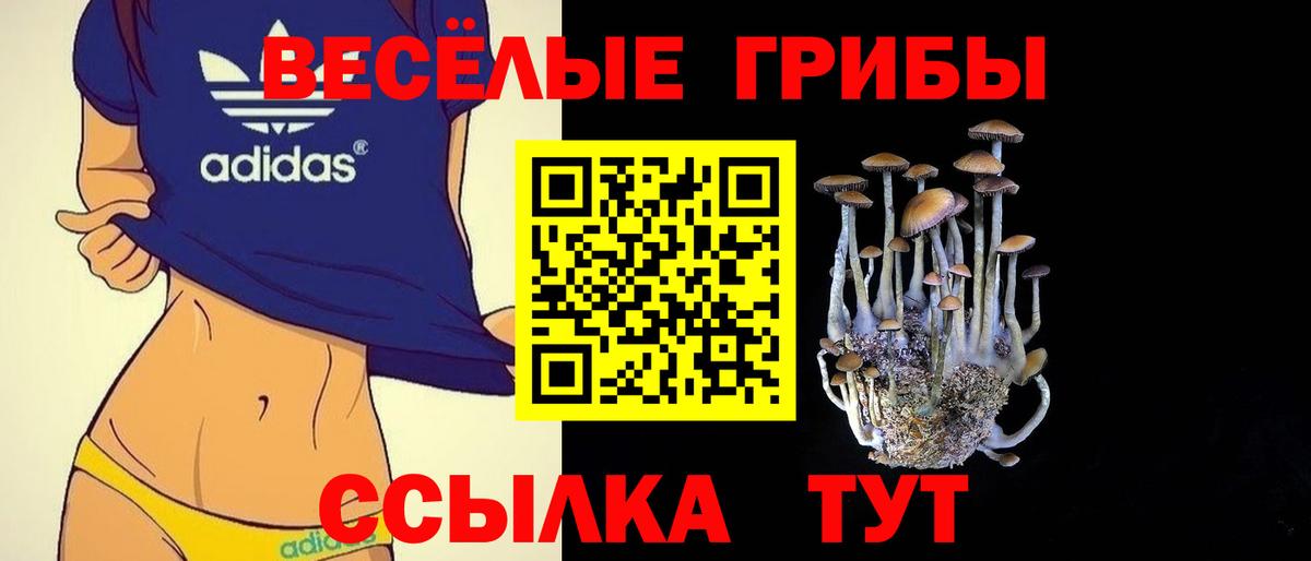 Междуреченск  наркота  Псилоцибиновые грибы Psilocybine cubensis  Вход с VPN  Псилоцибиновые грибы Magic Shrooms 